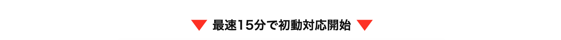 最速15分で初動対応開始